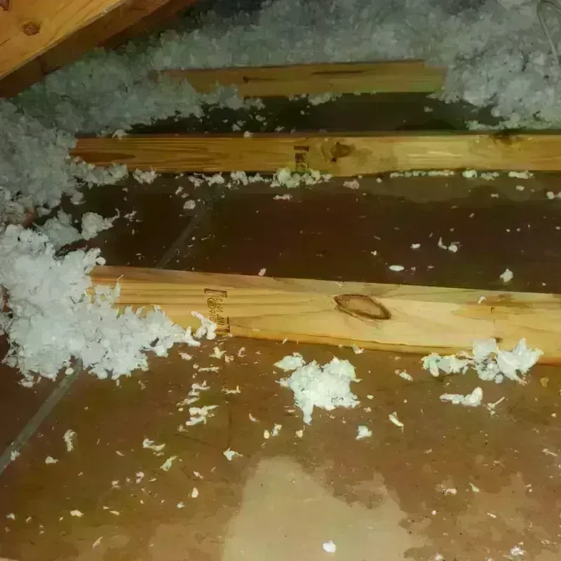 Attic Water Damage in Preston, IA