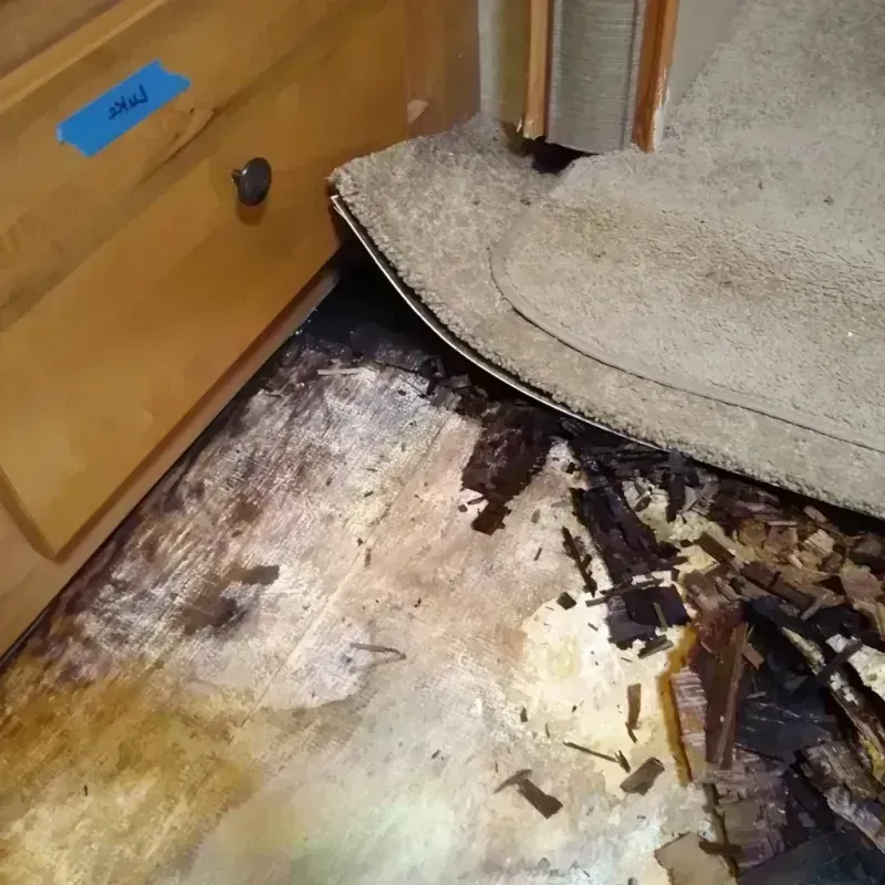 Best Wood Floor Water Damage Service in Preston, IA